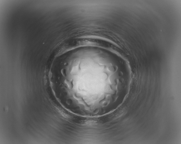 X0000070230462200606021352