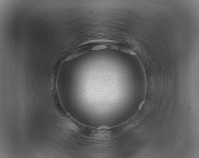 X0000070230463200606021352