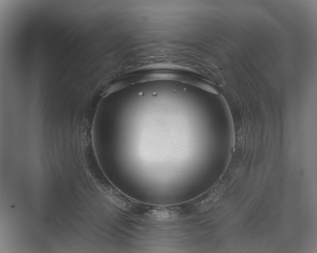 X0000070230464200606021352