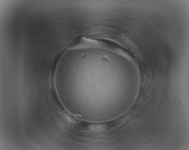 X0000070230465200606021352