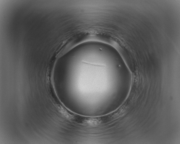 X0000070230466200606021352