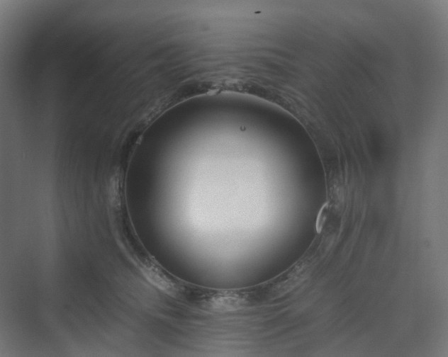 X0000070230468200606021352