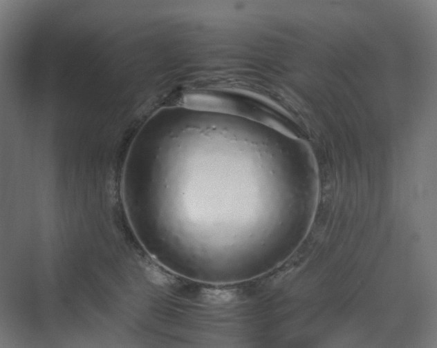 X0000070230469200606021352