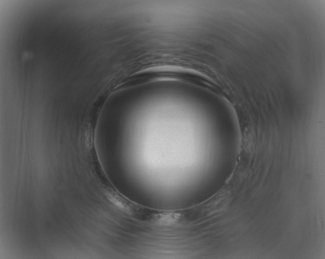 X0000070230474200606021352