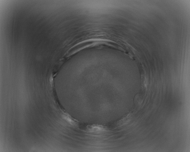 X0000070230475200606021352