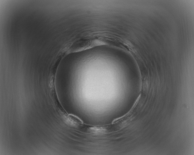 X0000070230477200606021352