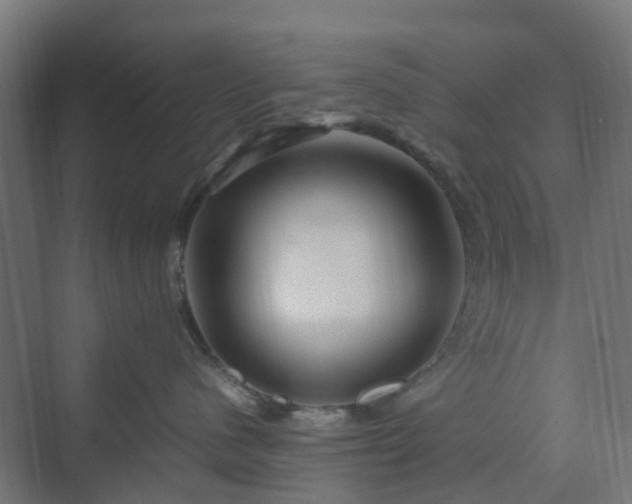 X0000070230480200606021352