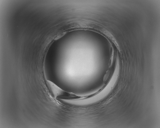 X0000070230481200606021351