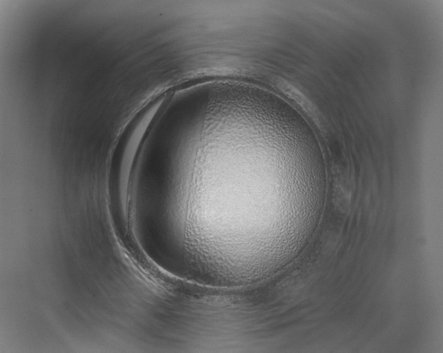 X0000070230482200606021351