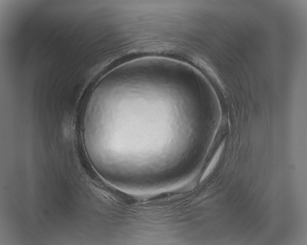 X0000070230483200606021351