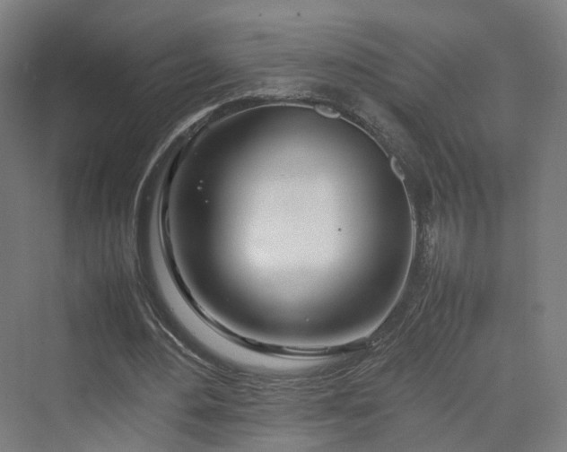 X0000070230484200606021351