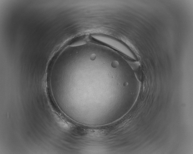 X0000070230486200606021351