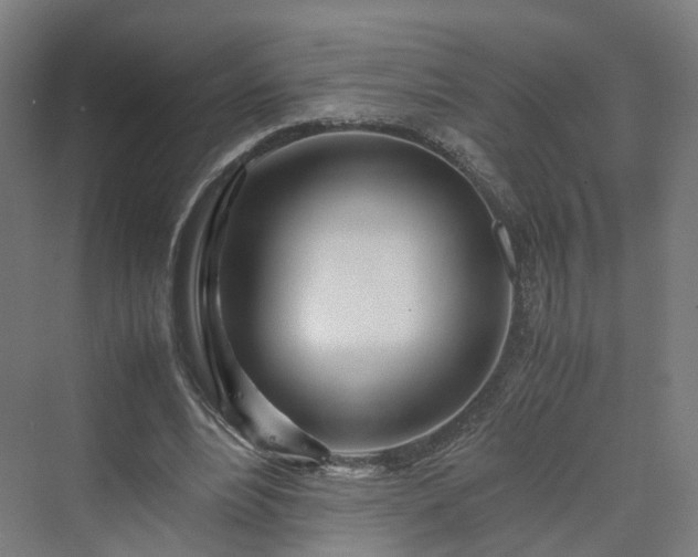 X0000070230488200606021351