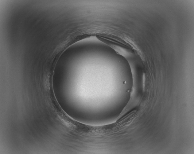 X0000070230489200606021351