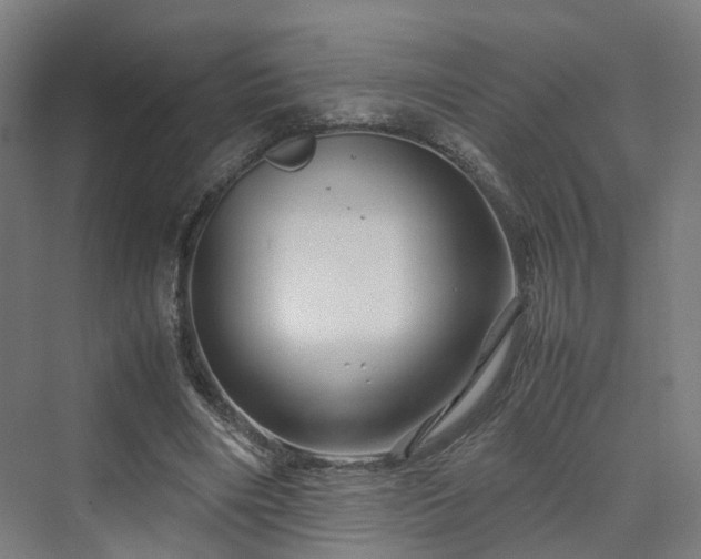 X0000070230490200606021351