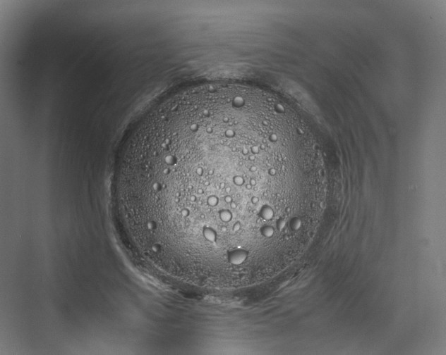 X0000070230491200606021351