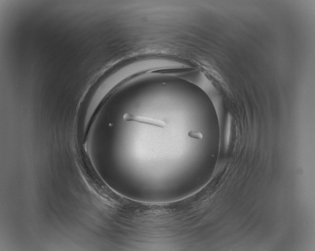 X0000070230492200606021351