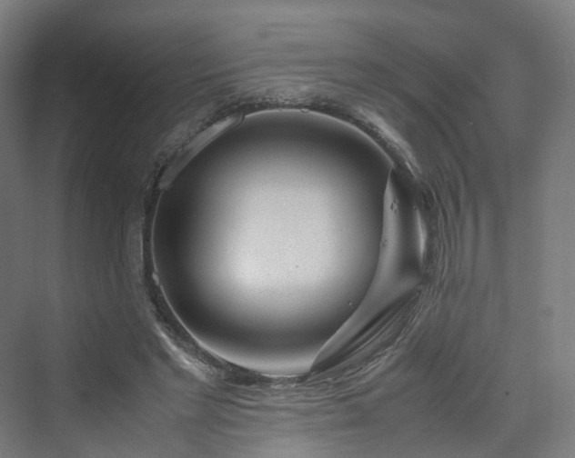 X0000070230493200606021351