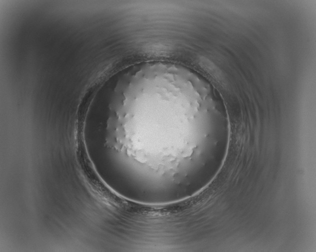 X0000070230494200606021351