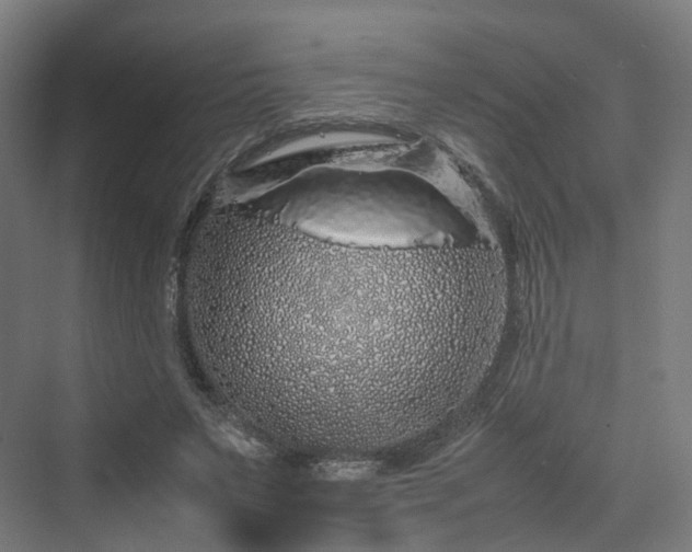 X0000070230495200606021351