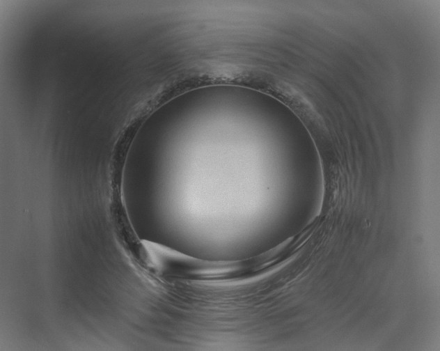 X0000070230496200606021351