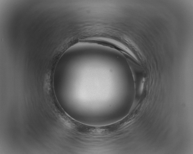 X0000070230497200606021351