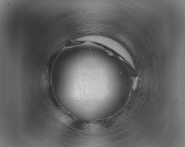 X0000070230498200606021351