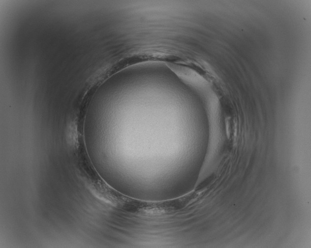 X0000070230500200606021351