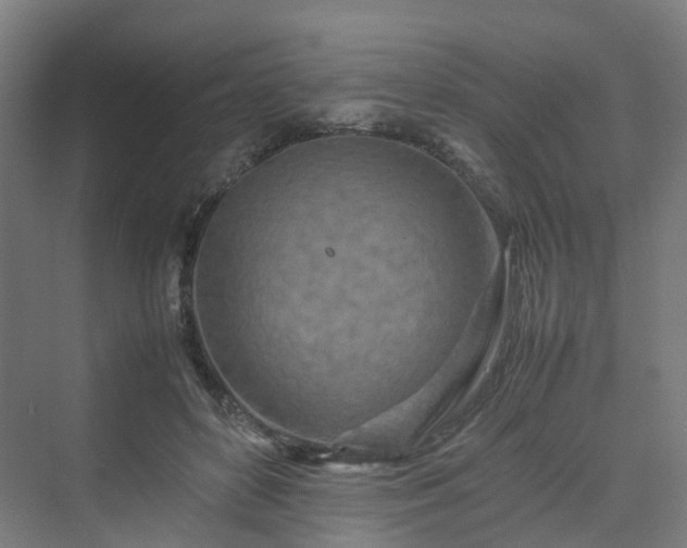 X0000070230504200606021351