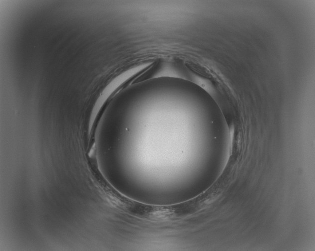 X0000070230505200606021351