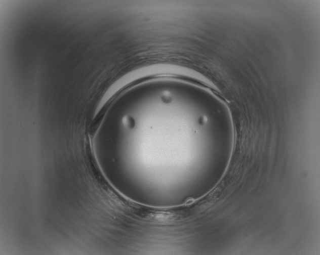 X0000070230506200606021351