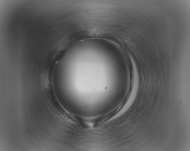 X0000070230508200606021351