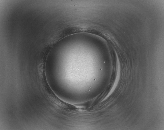 X0000070230509200606021351