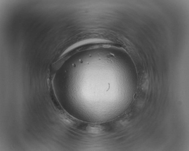 X0000070230510200606021351