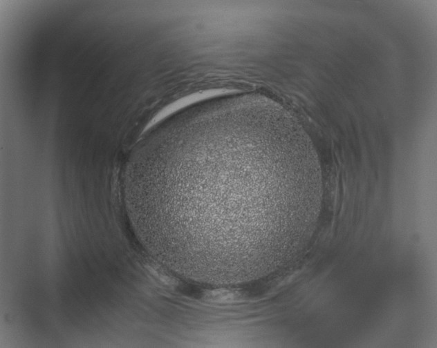 X0000070230511200606021351