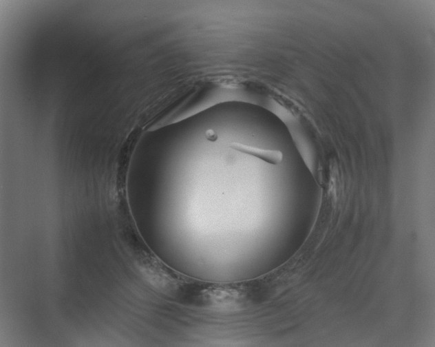 X0000070230512200606021351