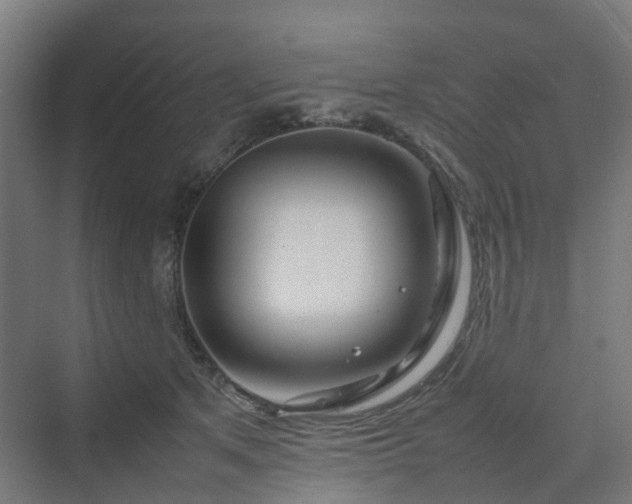 X0000070230513200606021351