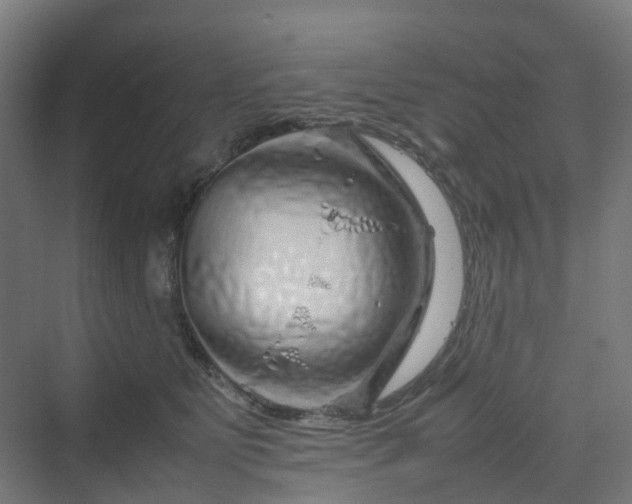 X0000070230515200606021351