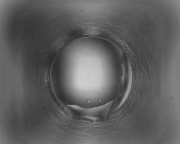 X0000070230517200606021350