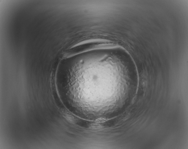 X0000070230519200606021350