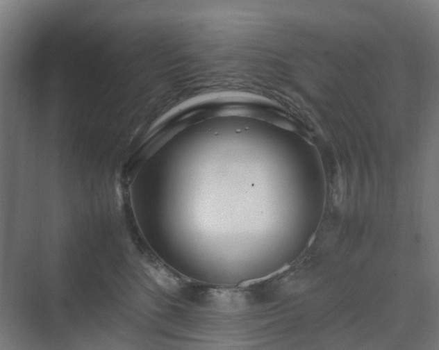 X0000070230520200606021350