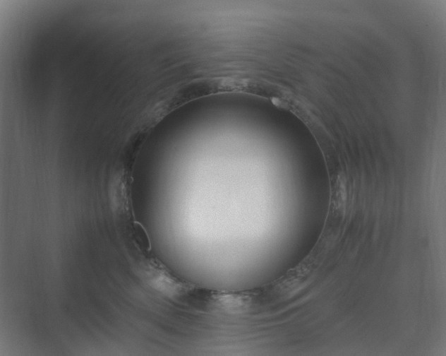 X0000070230522200606021350