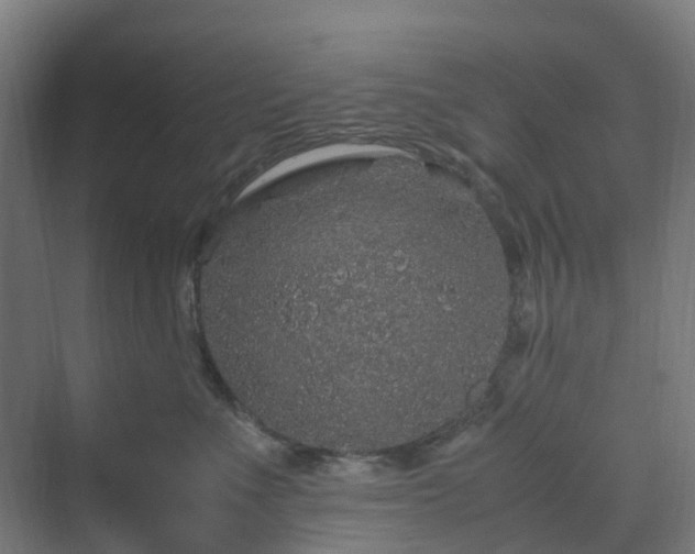 X0000070230523200606021350