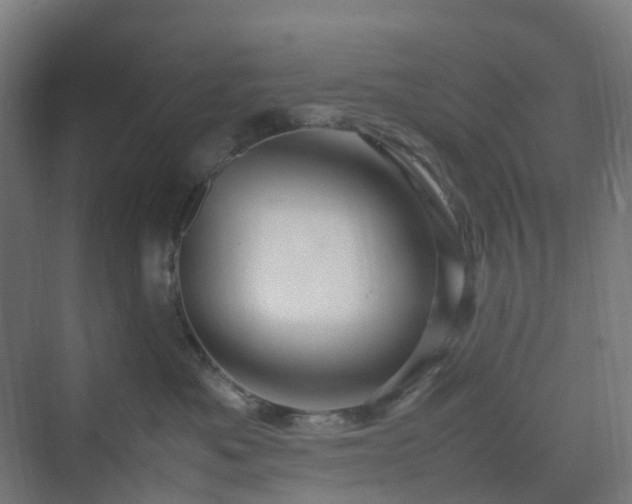 X0000070230525200606021350