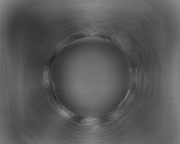 X0000070230526200606021350