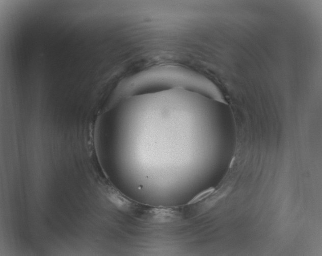 X0000070230528200606021350