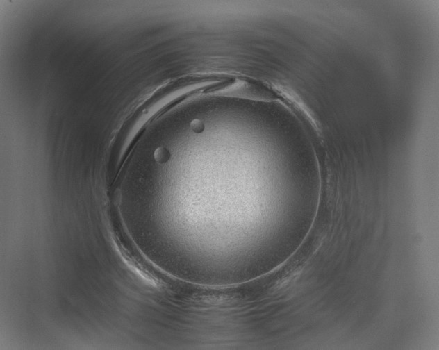 X0000070230533200606021350