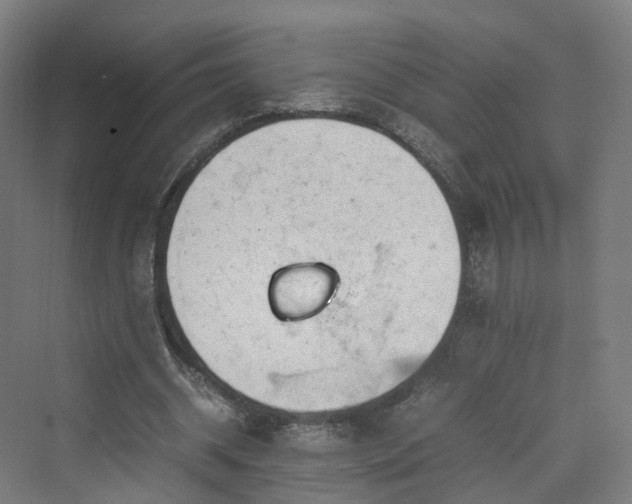 X0000070230534200606021350