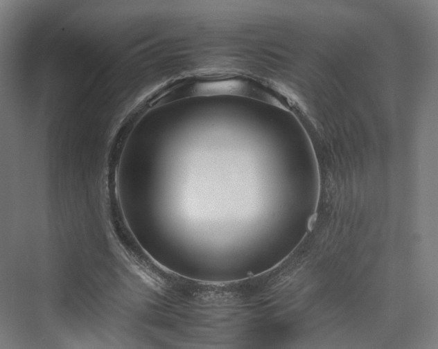 X0000070230535200606021350