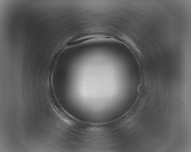 X0000070230537200606021350